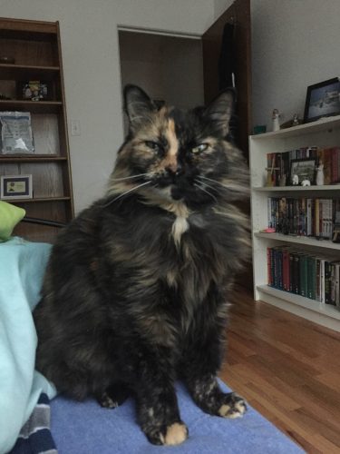 Marytorti