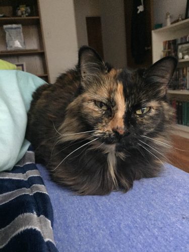 Marytorti2