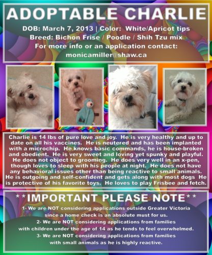 Charlie adoption poster