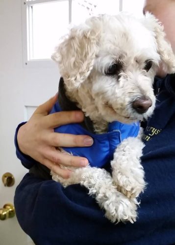Keesha – Long Term Care