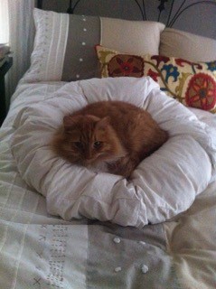 Mufasa – Courtesy Post