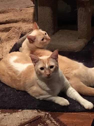 Danny and Karma