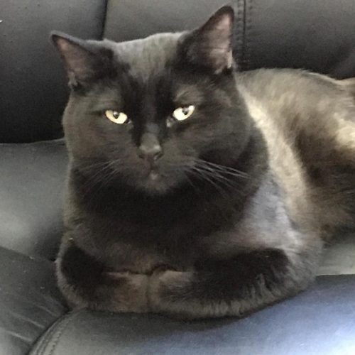 Mickey – mild special needs