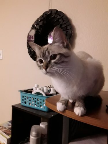 Pancake