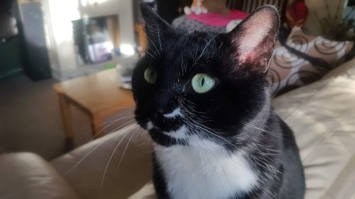 BW aka Buddy