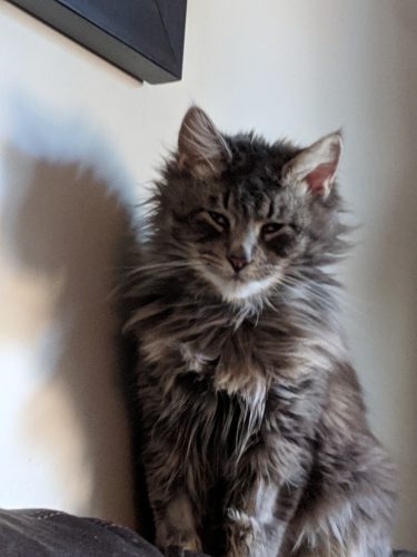 Stubbs