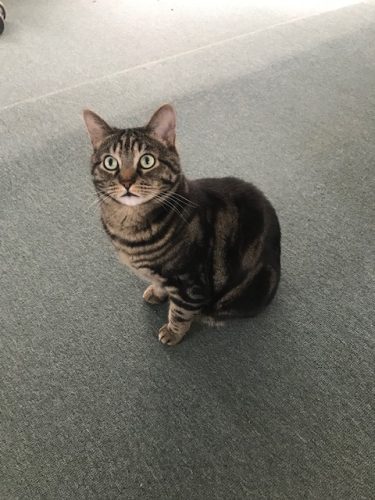 George