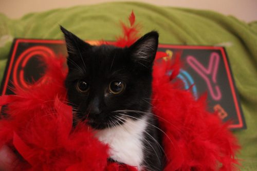 IMG_7524