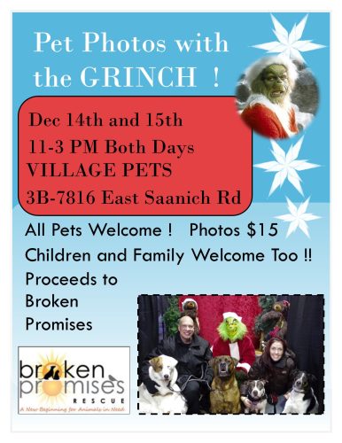 Grinch Photos for the Holidays!