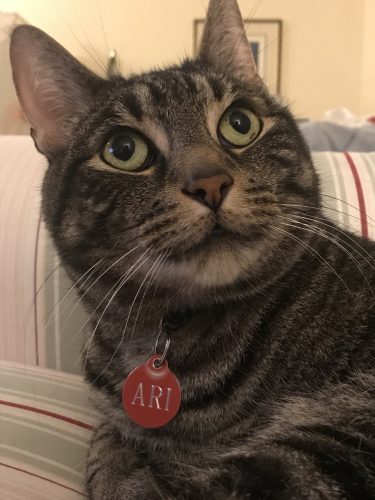 Ari