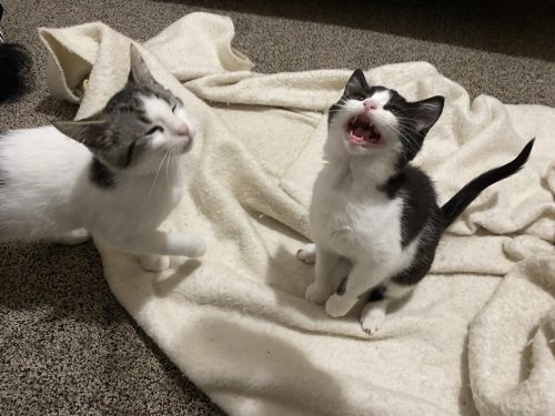 Tic and Tac