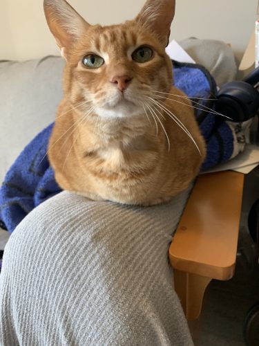 Max