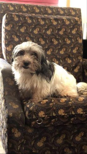 Ava – special needs