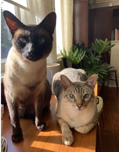 Frank & Mackerel
