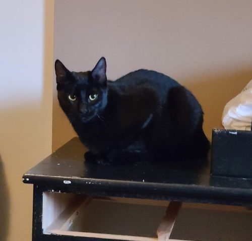 Lulu