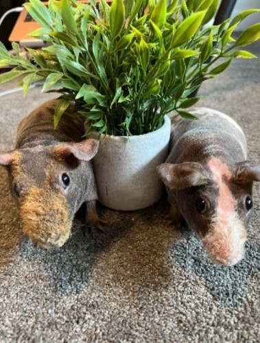 Reggie and Vivian