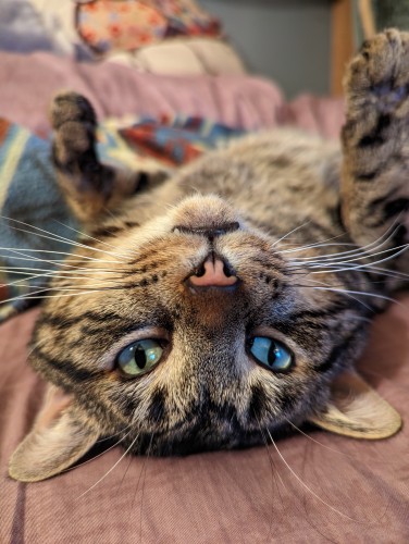 Gus –