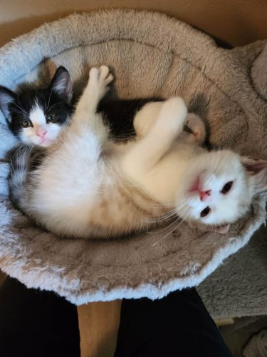Bonnie and Clyde