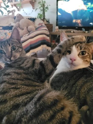 Mikey & Fritz