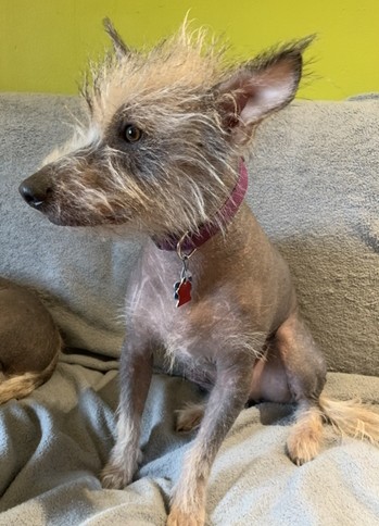 Coco