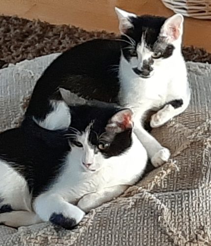 Jace and Lilah
