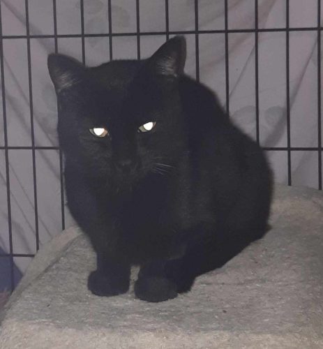 Nimbus