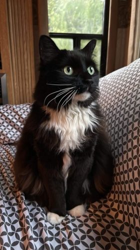 Mitty
