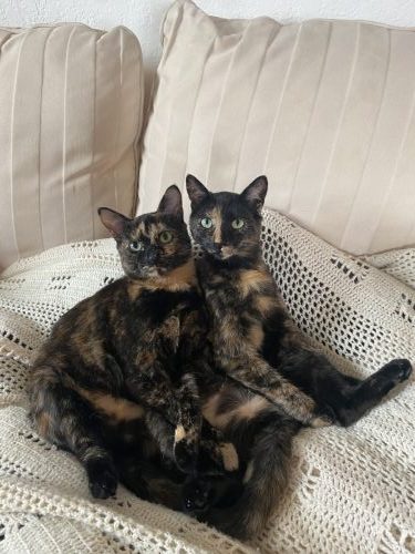 Greta and Margot