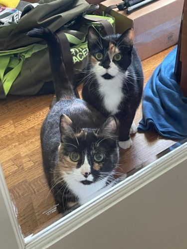 Chloe and Myla
