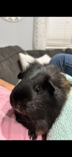 Missy