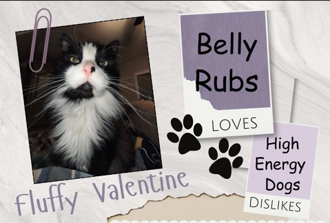 Fluffy Valentine