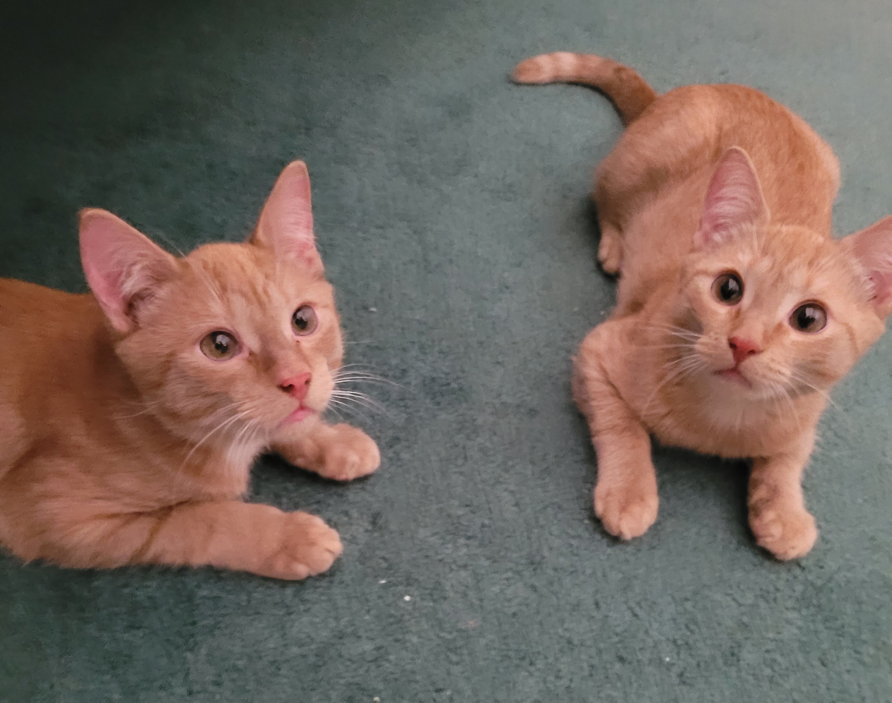Simone and Theodore