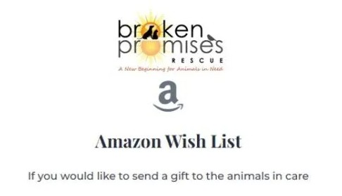 Amazon Wish list below