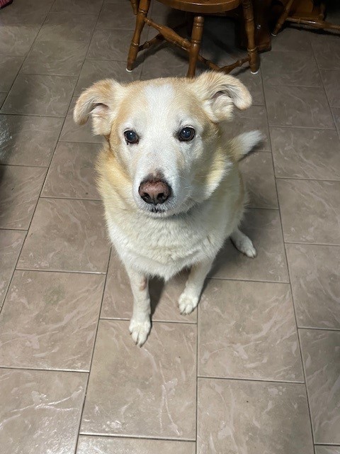 Jack
